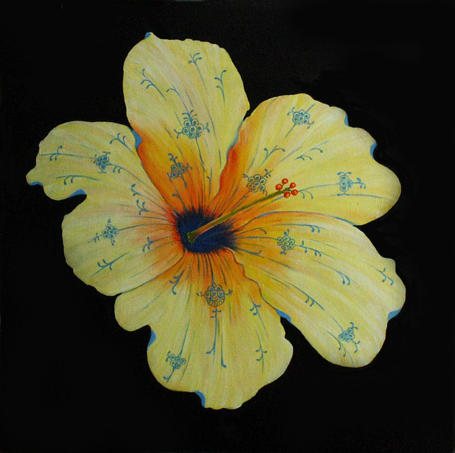 Muselblomst PRIVATEJE